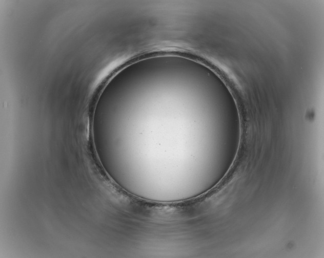 X0000091001317200708161930