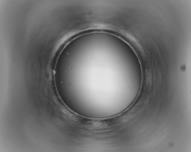 X0000091001318200708161930