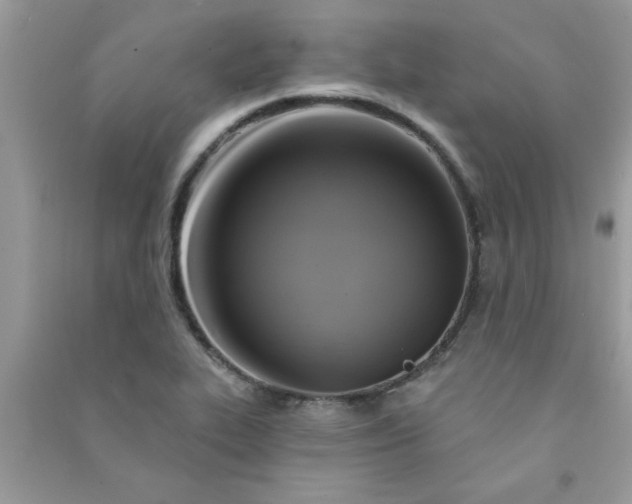 X0000091001319200708161930