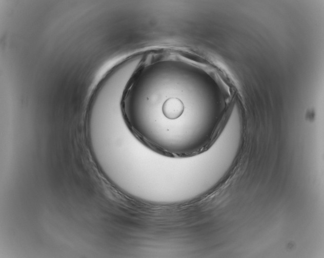 X0000091001320200708161930
