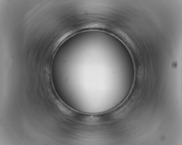 X0000091001321200708161930