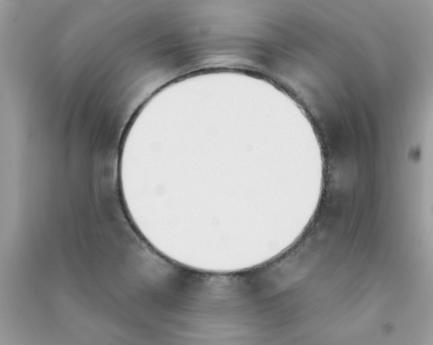 X0000091001322200708161930