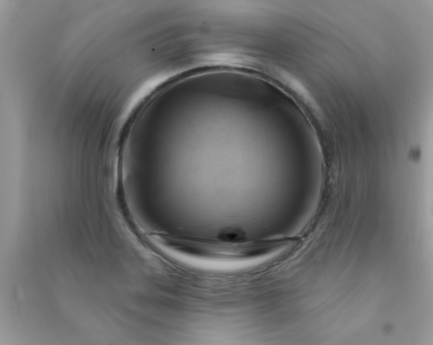 X0000091001323200708161930