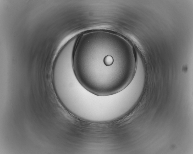 X0000091001324200708161930