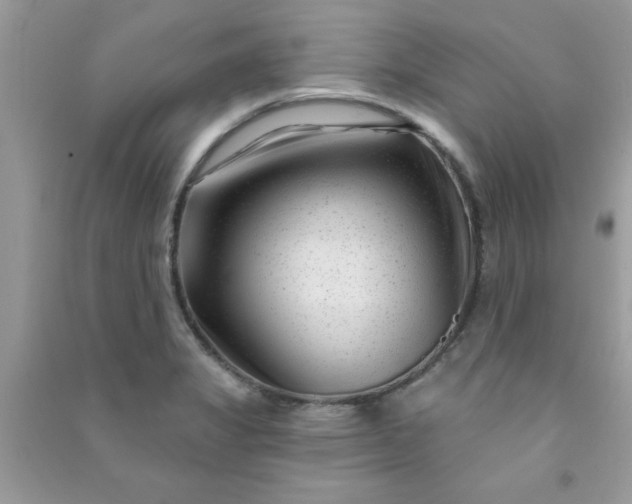 X0000091001325200708161930