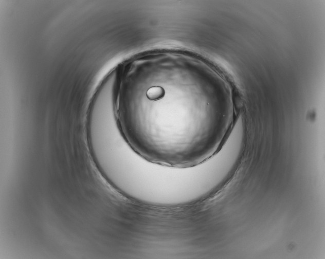 X0000091001326200708161930