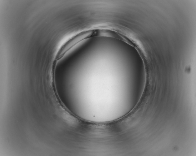 X0000091001328200708161930