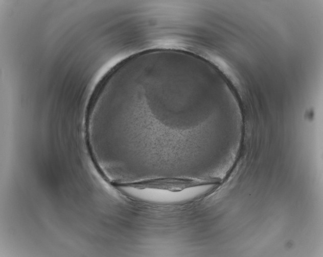 X0000091001331200708161930
