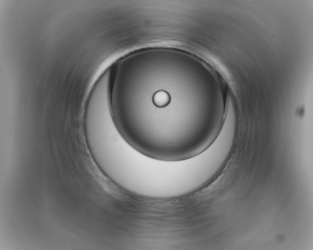 X0000091001332200708161930