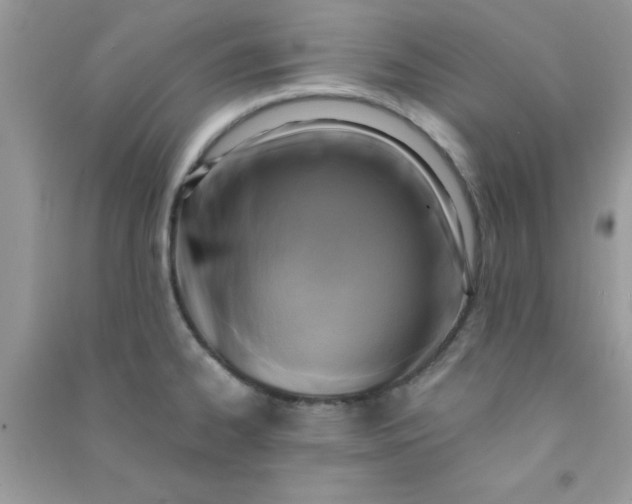 X0000091001334200708161930