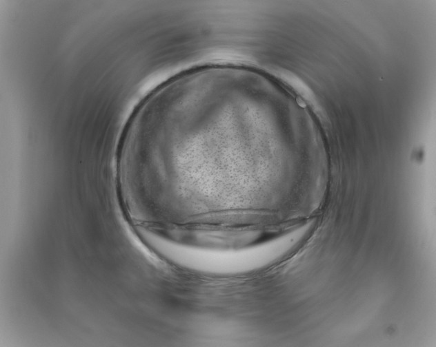 X0000091001335200708161930