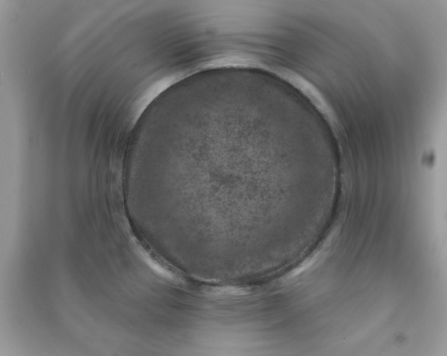 X0000091001337200708161930