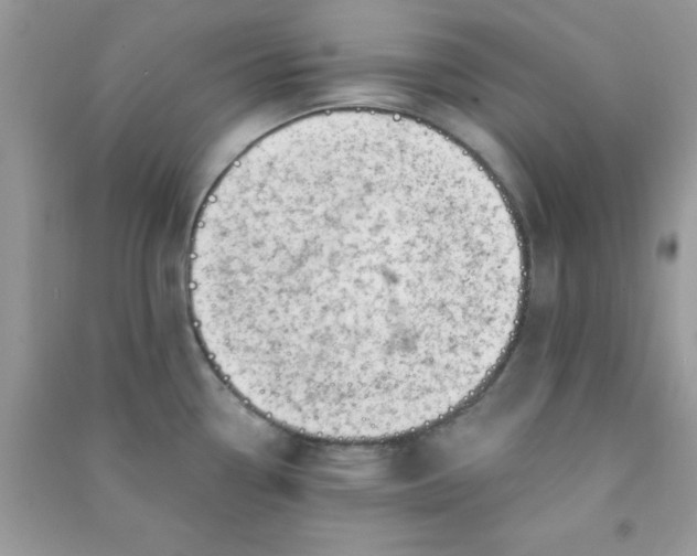 X0000091001338200708161930