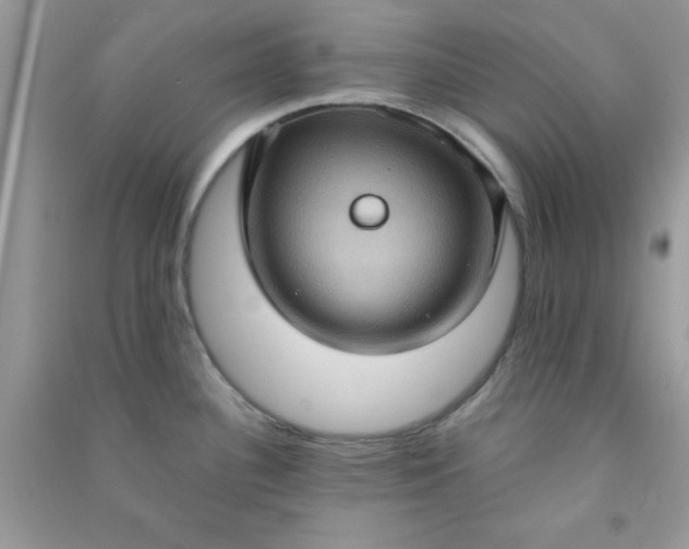 X0000091001340200708161930