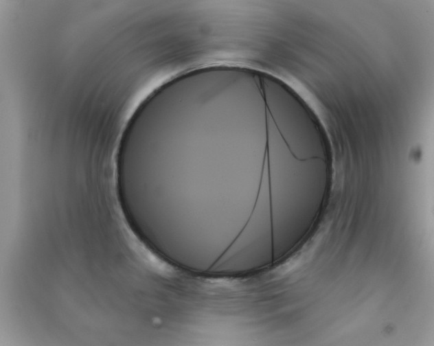 X0000091001341200708161930