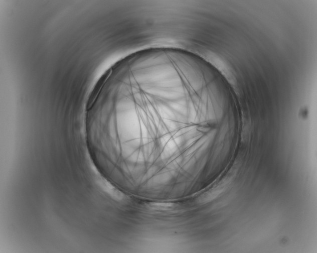 X0000091001342200708161930