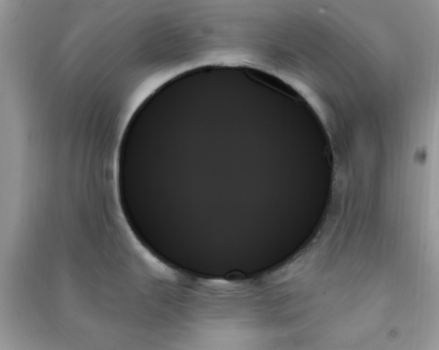 X0000091001343200708161930