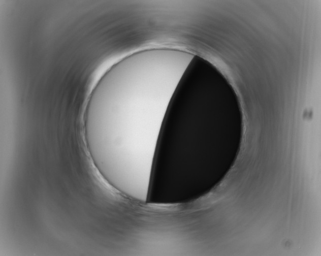 X0000091001344200708161930