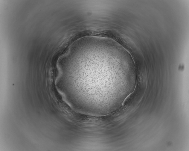 X0000091001346200708161929