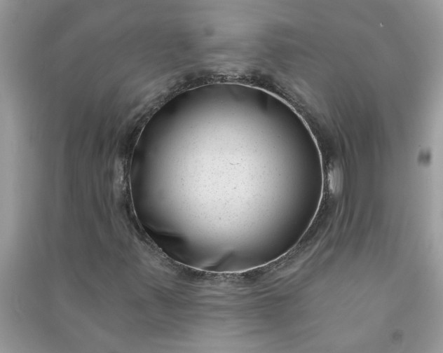 X0000091001347200708161929