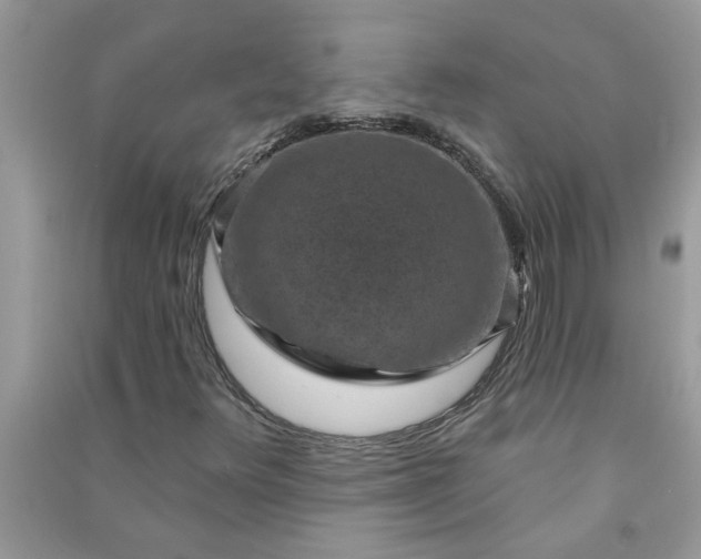 X0000091001348200708161929