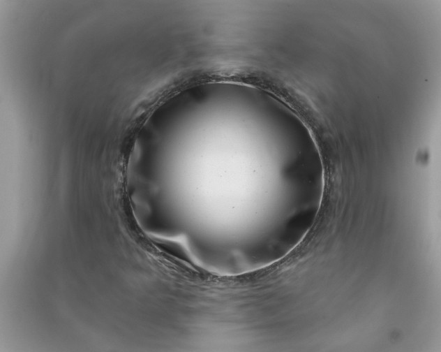 X0000091001349200708161929