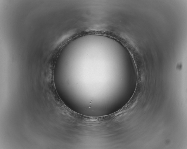 X0000091001350200708161929