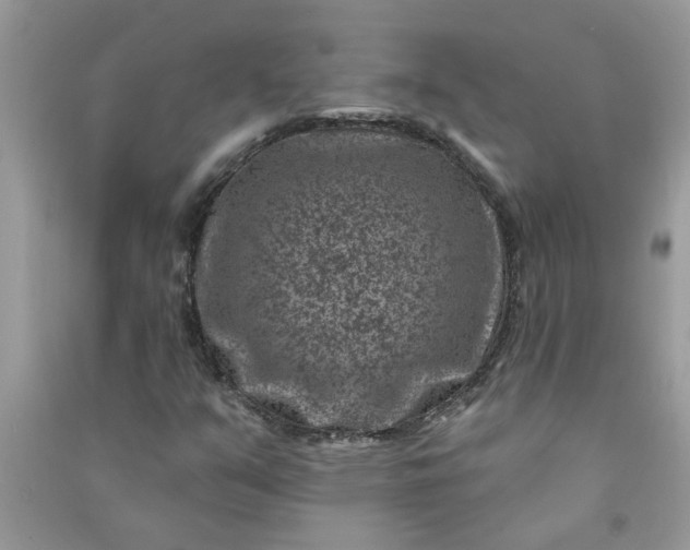 X0000091001351200708161929