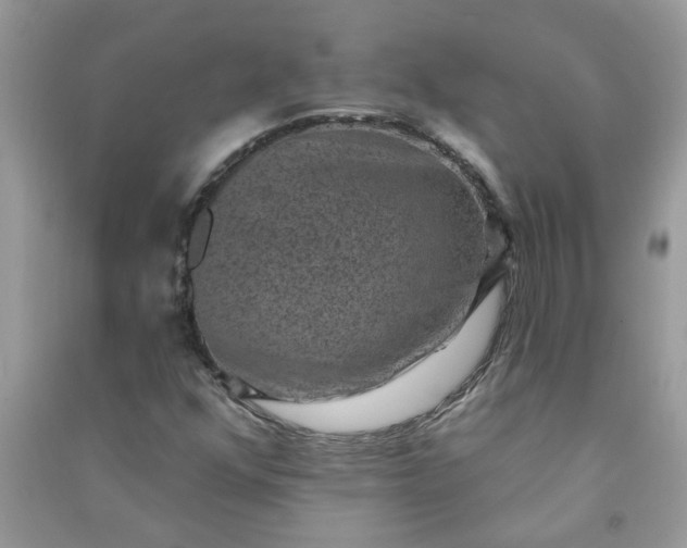 X0000091001352200708161929