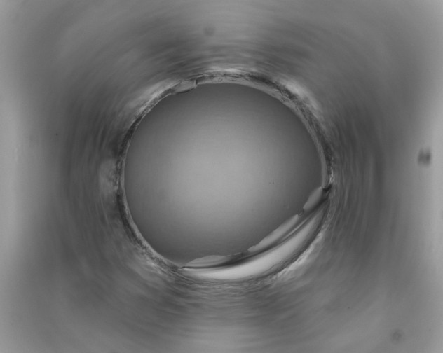 X0000091001353200708161929