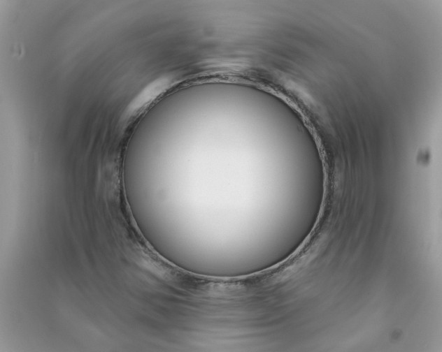X0000091001354200708161929