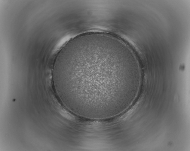 X0000091001355200708161929