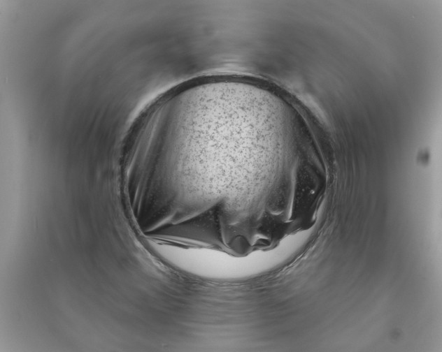 X0000091001356200708161929