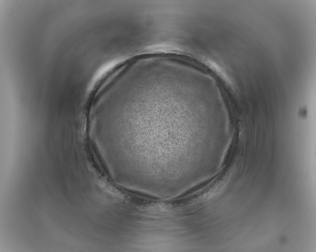 X0000091001358200708161929