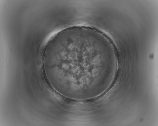 X0000091001359200708161929