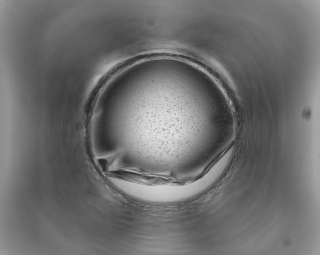 X0000091001360200708161929