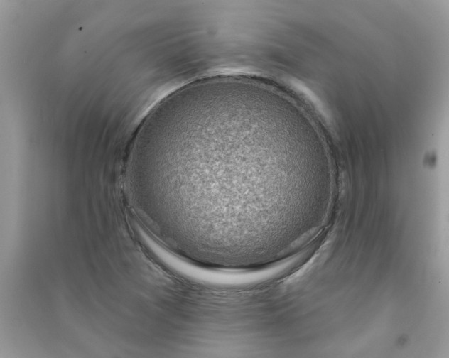 X0000091001361200708161929