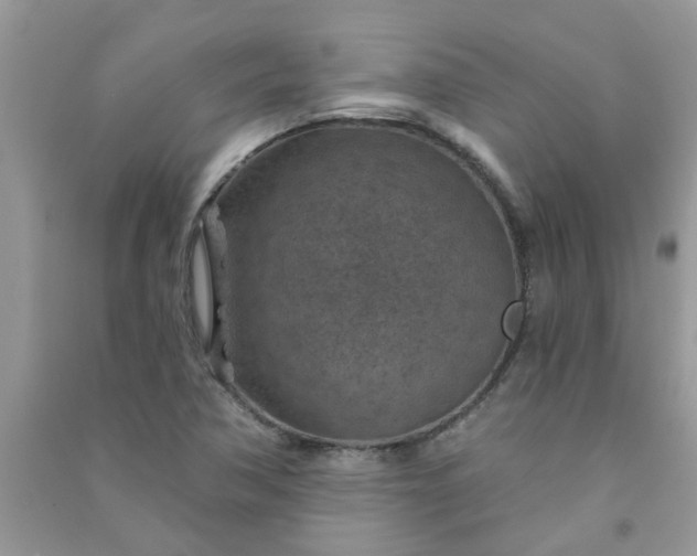 X0000091001362200708161929