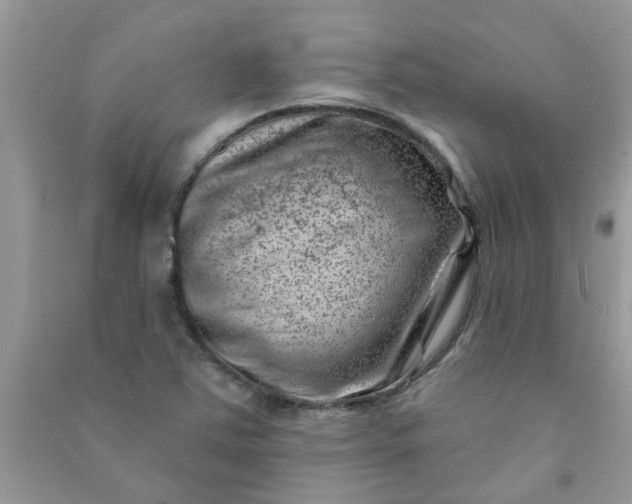X0000091001363200708161929