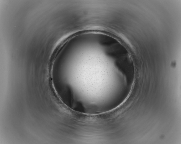 X0000091001364200708161929