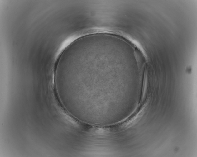 X0000091001365200708161929