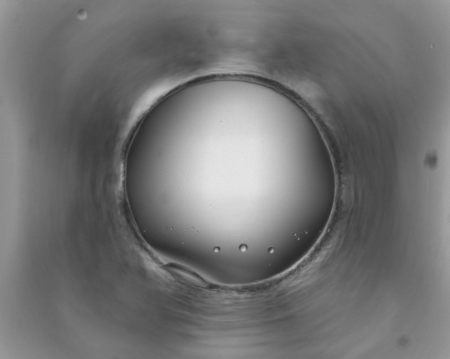 X0000091001366200708161929