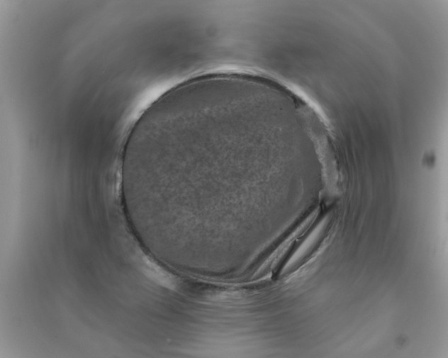 X0000091001367200708161929