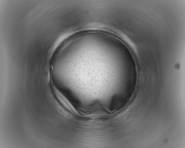 X0000091001368200708161929