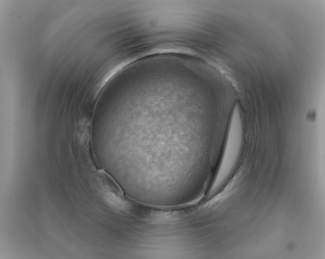 X0000091001369200708161929