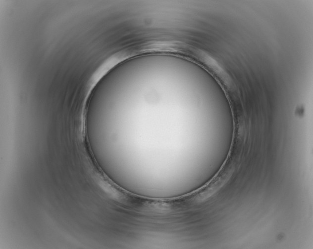 X0000091001370200708161929