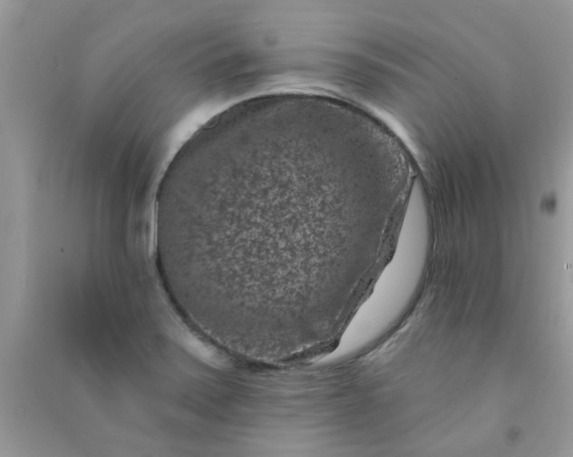 X0000091001371200708161929
