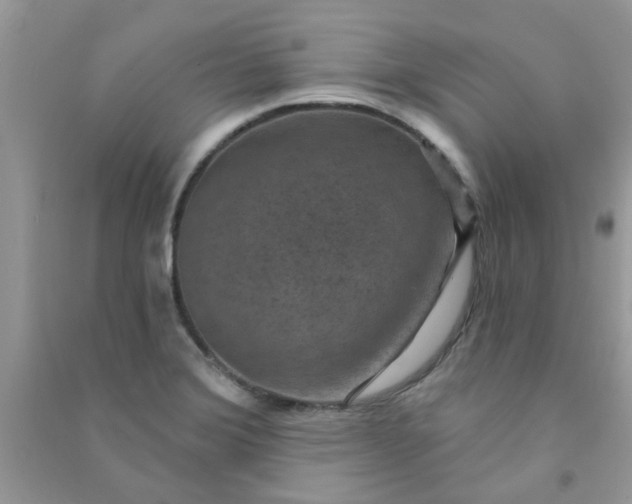 X0000091001372200708161929
