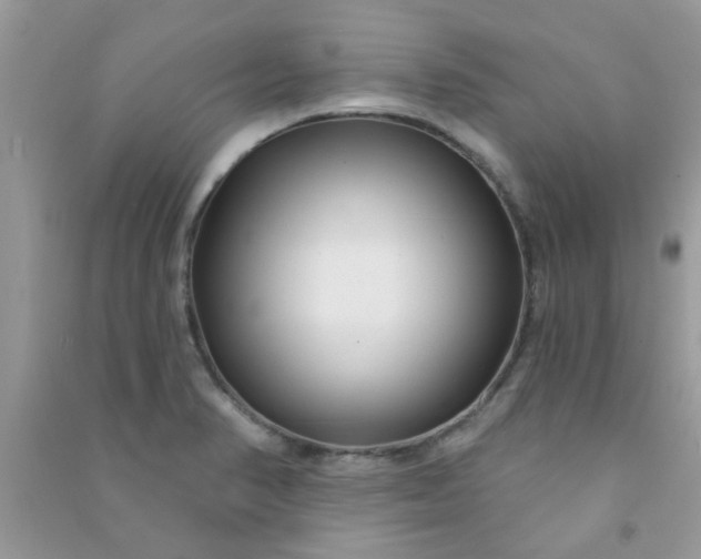 X0000091001374200708161929