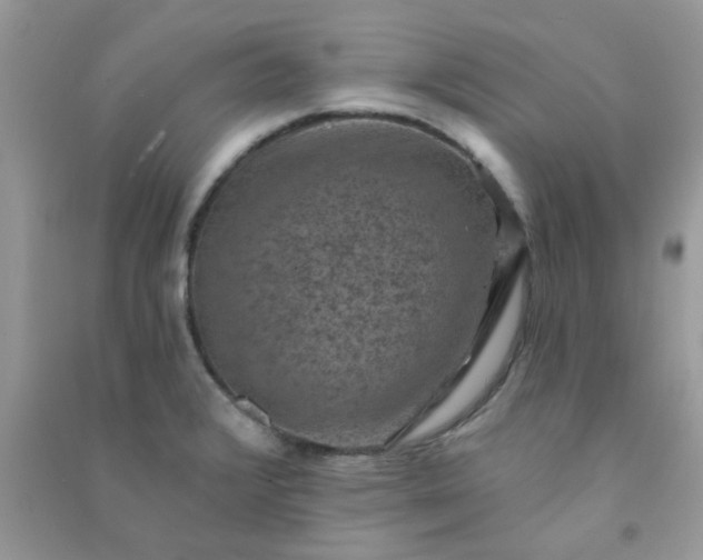 X0000091001376200708161929